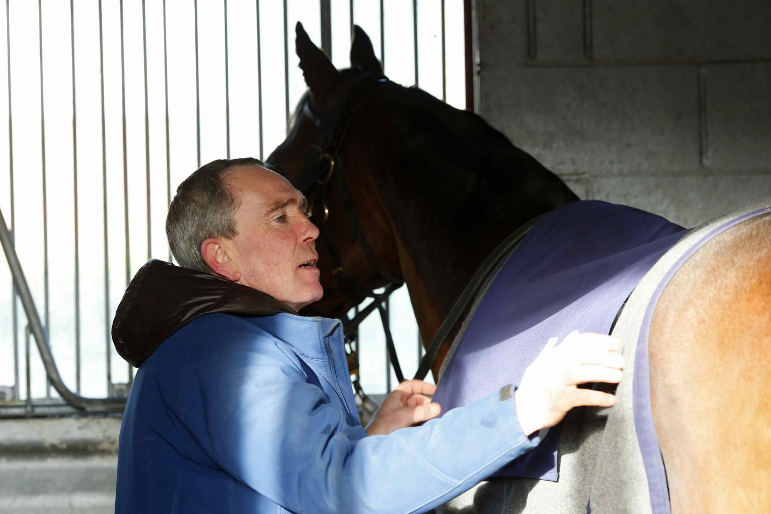 How to Tack up a Racehorse Careers in Racing