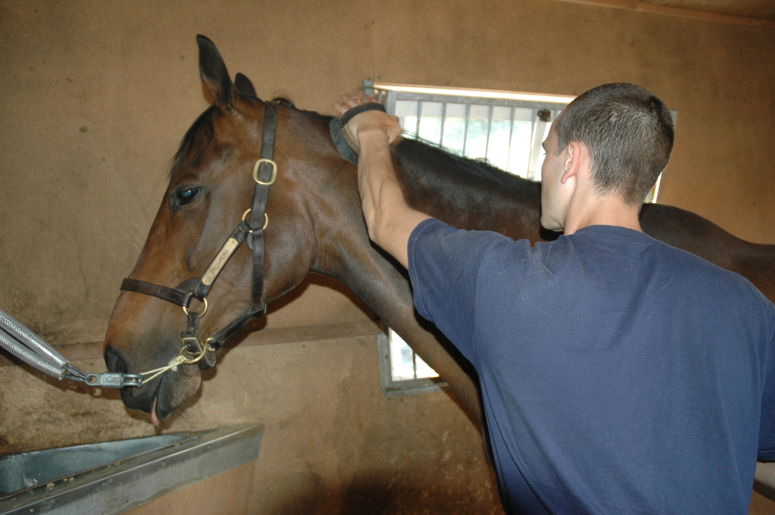 Yard Person Careers in Racing