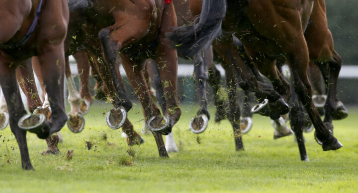 Work Rider - Careers in Racing
