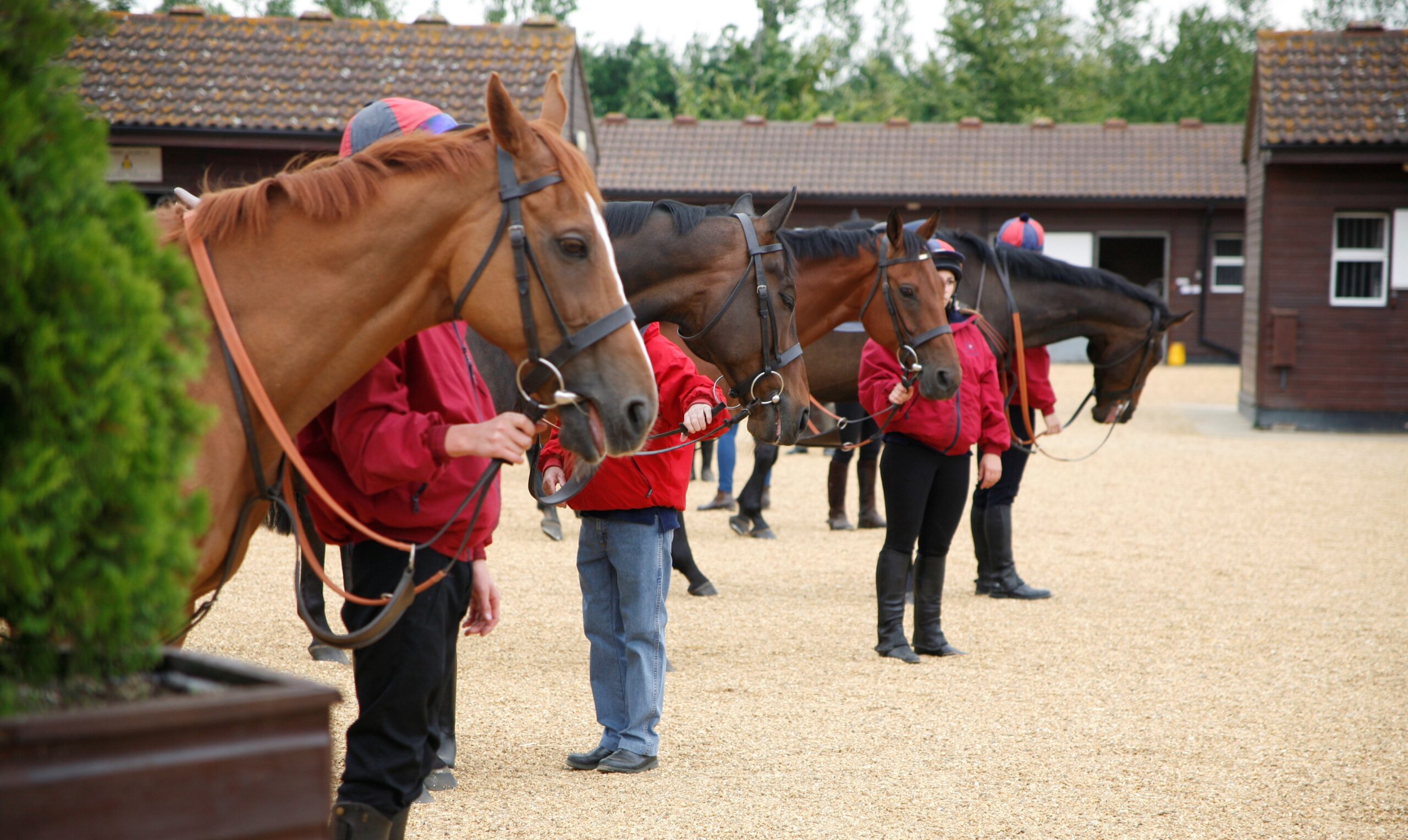 Equine Student Progression Programme Careers in Racing